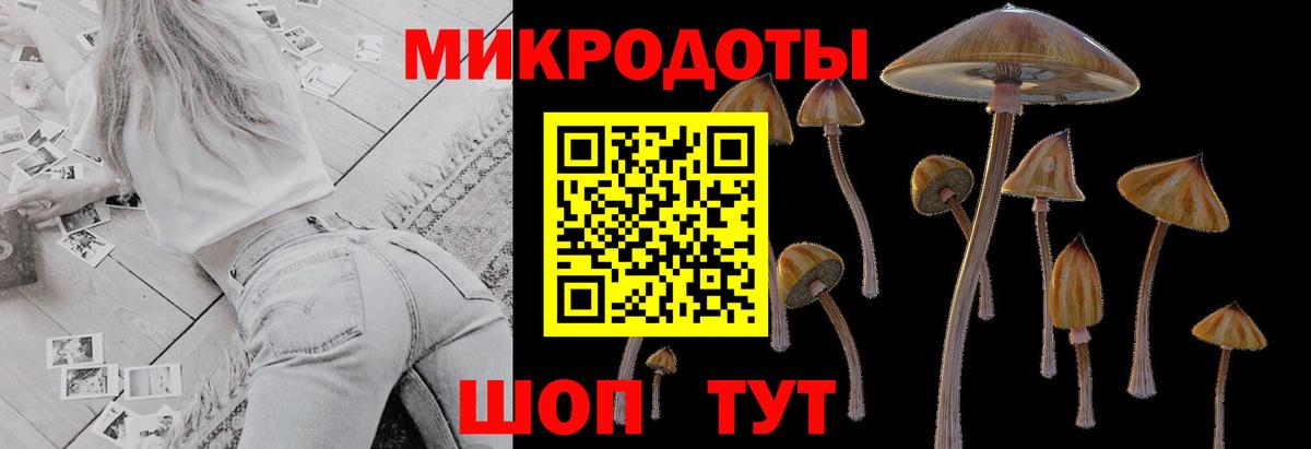 Галлюциногенные грибы GOLDEN TEACHER  Вход с VPN  Петропавловск-Камчатский 