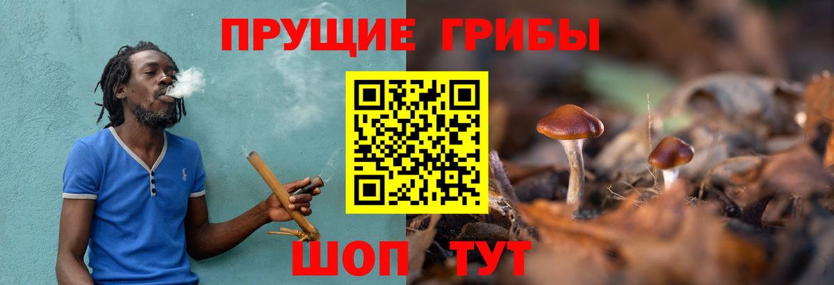 Псилоцибиновые грибы MAGIC MUSHROOMS Петропавловск-Камчатский